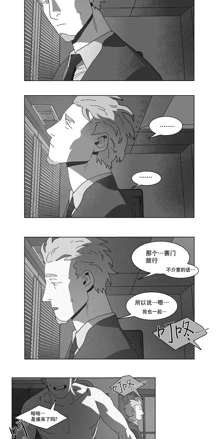 第20章：替代品