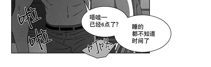 第20章：替代品