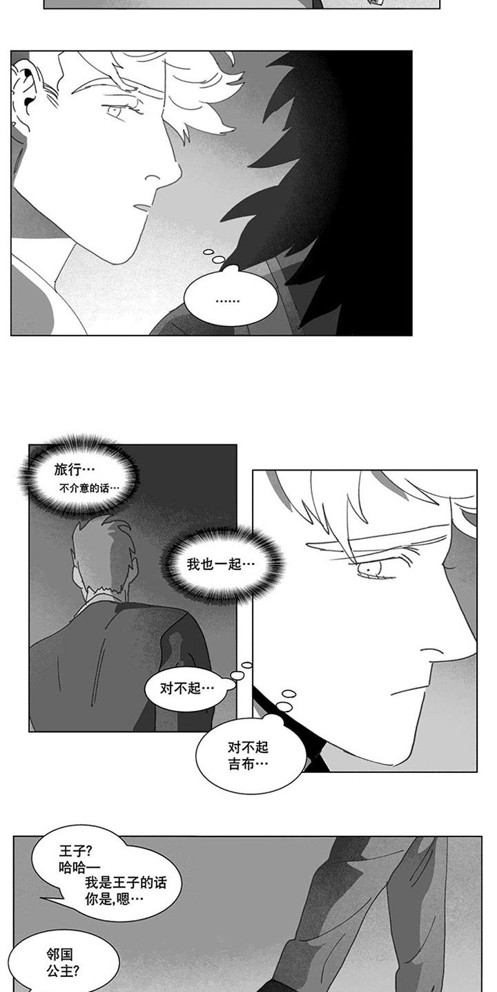 第20章：替代品