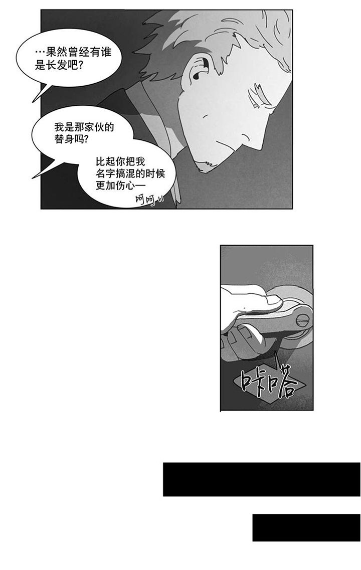 第20章：替代品