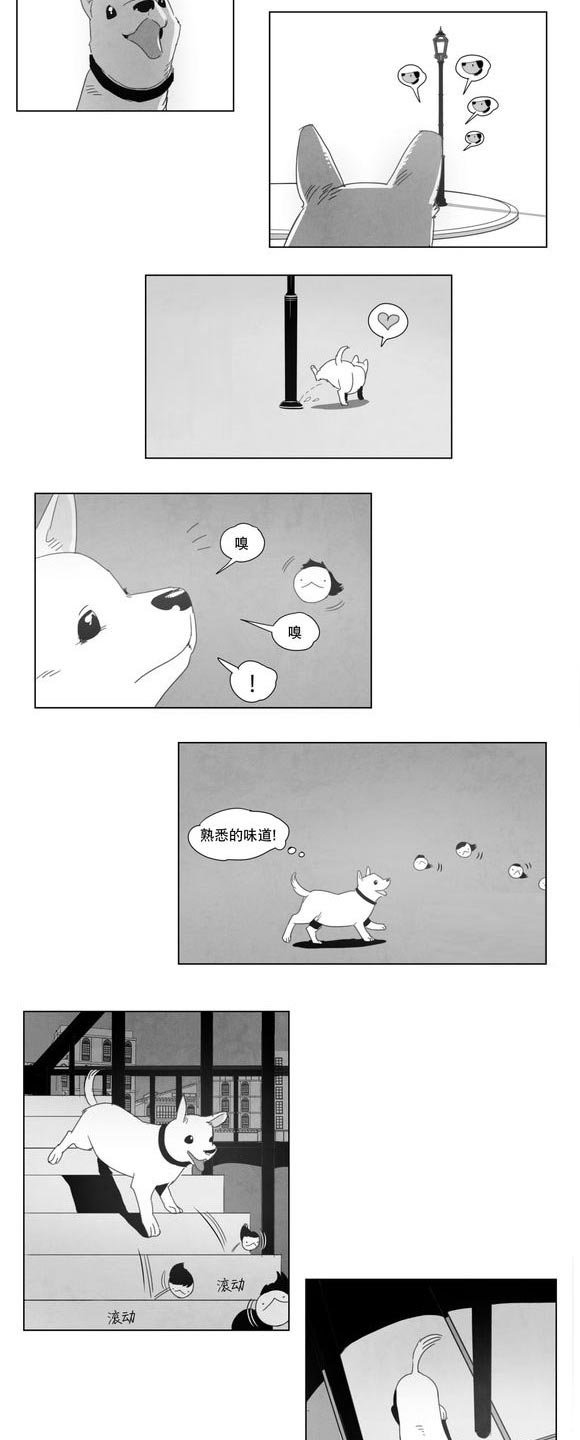 第3章：手指