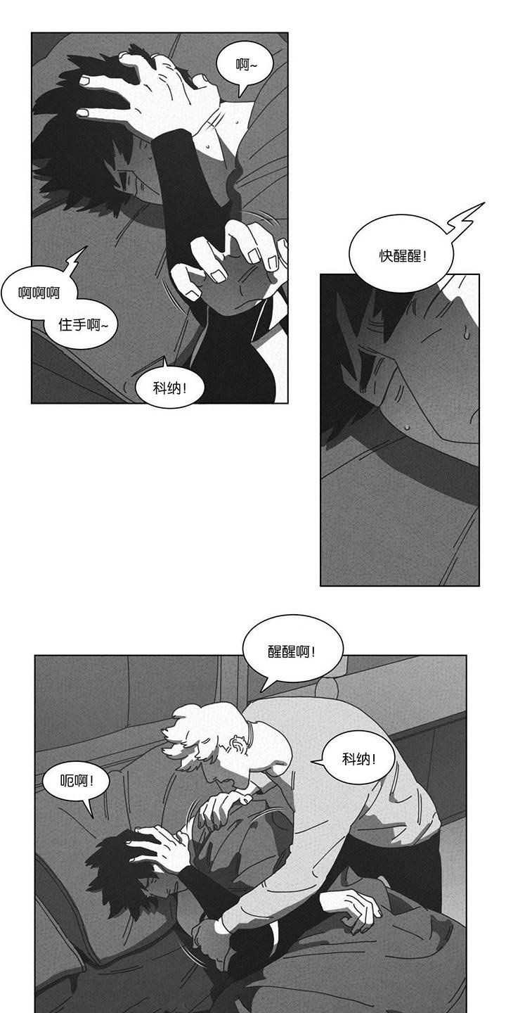 第51章：DNA