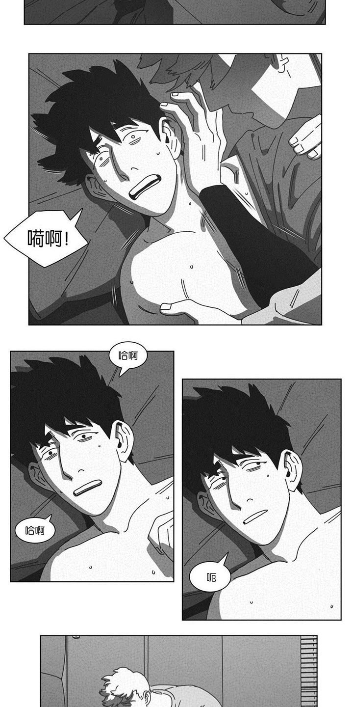 第51章：DNA