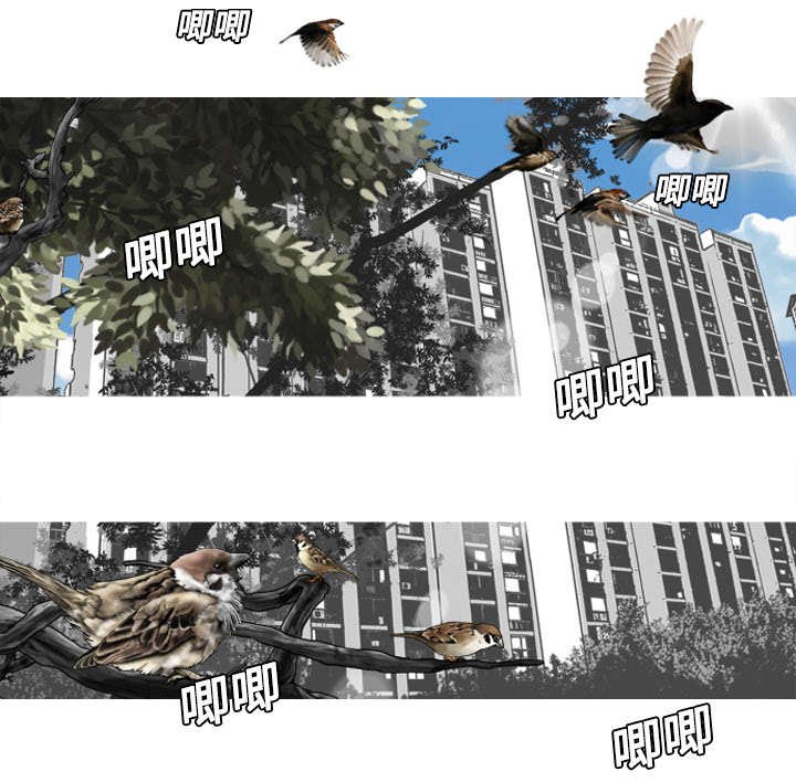 第3章：没脸面对
