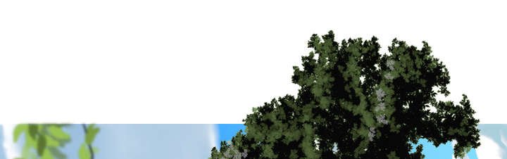 第32章：爱得疯狂