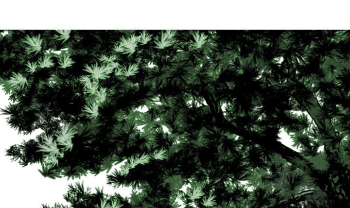 第66章：验货