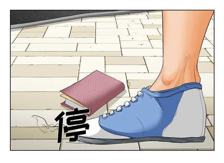 第23章：报道