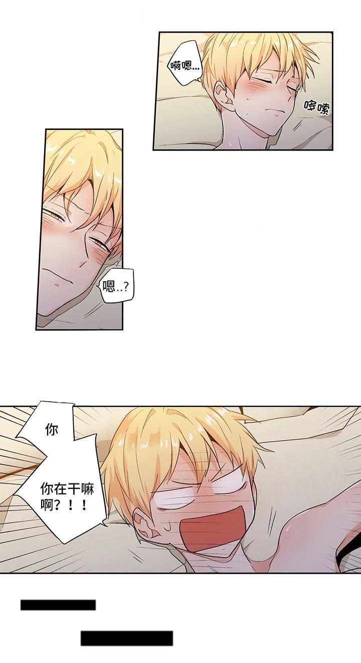 第110章：【第二季】蜜月之行1