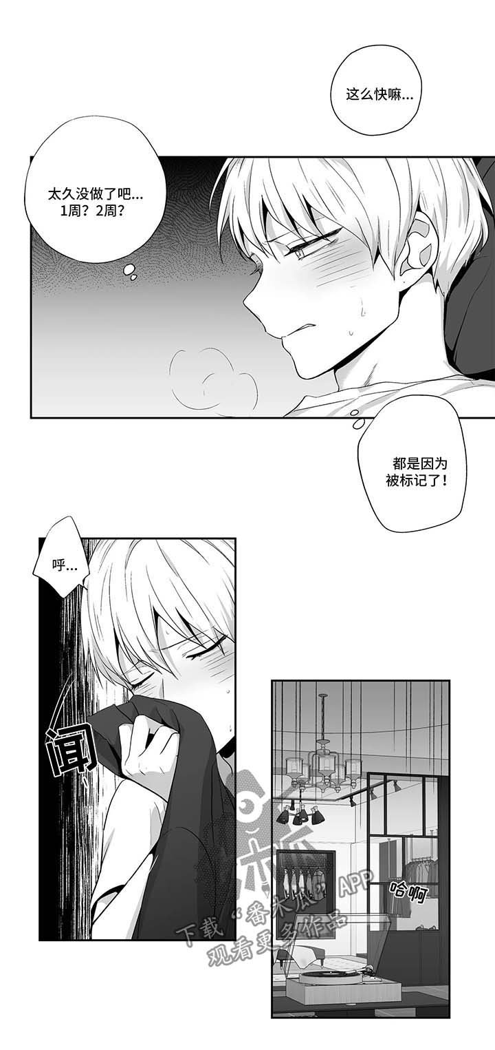 第114章：【第二季】惊人发现