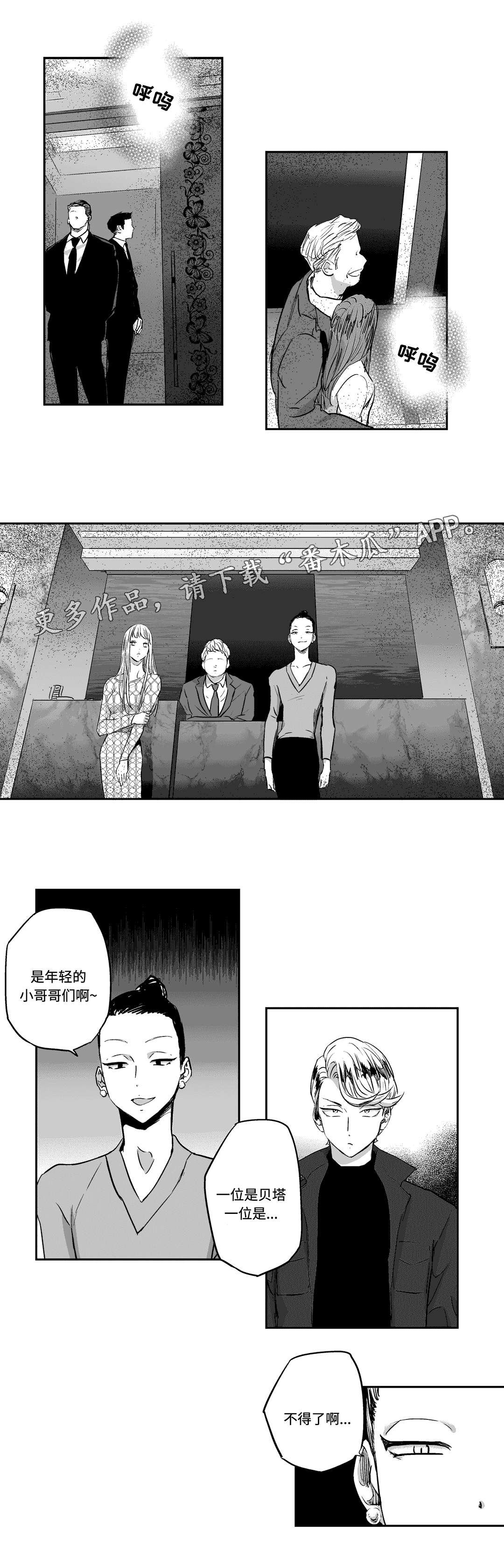 第13章：遮掩