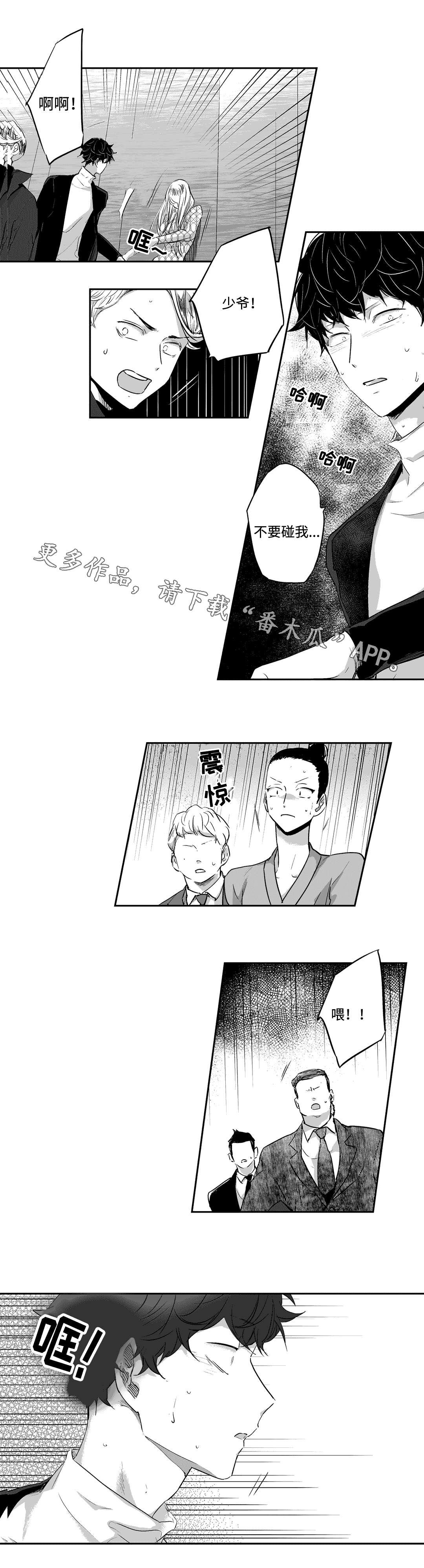 第13章：遮掩