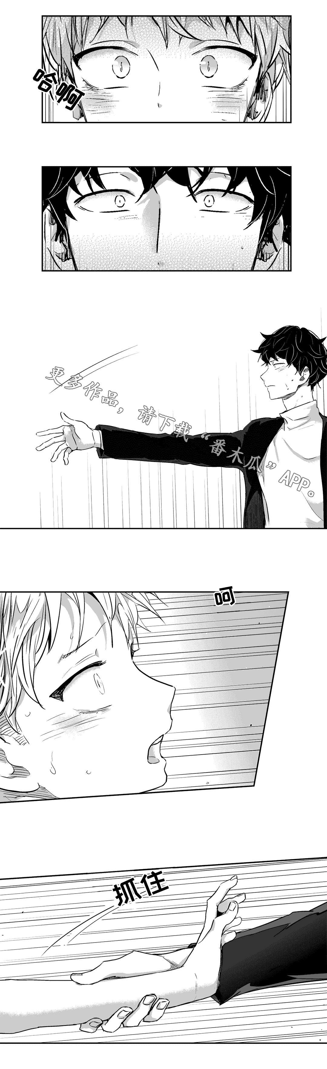 第13章：遮掩
