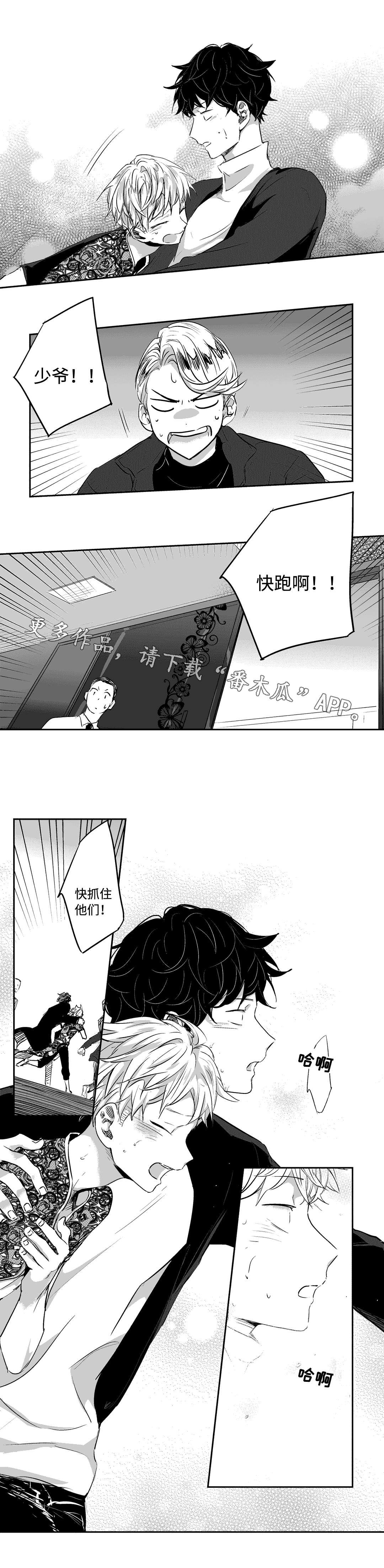 第13章：遮掩