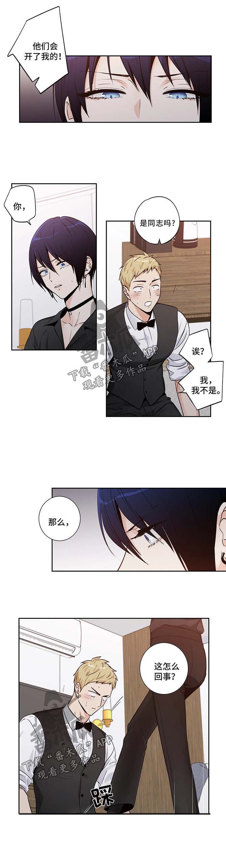 第136章：【第二季】你太美了