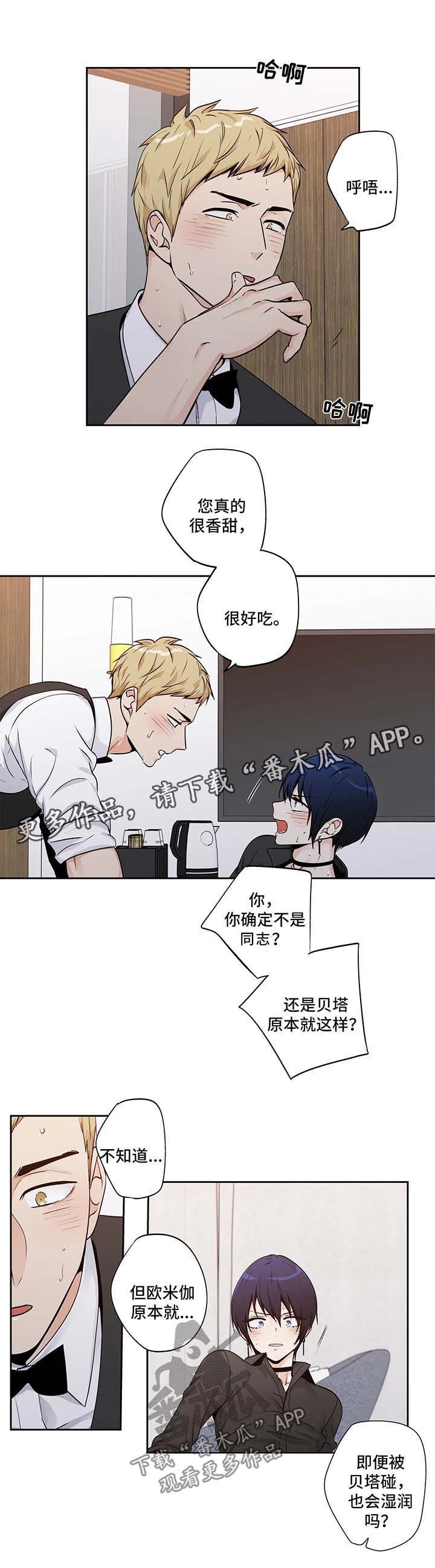第137章：【第二季】贝塔带来的快乐