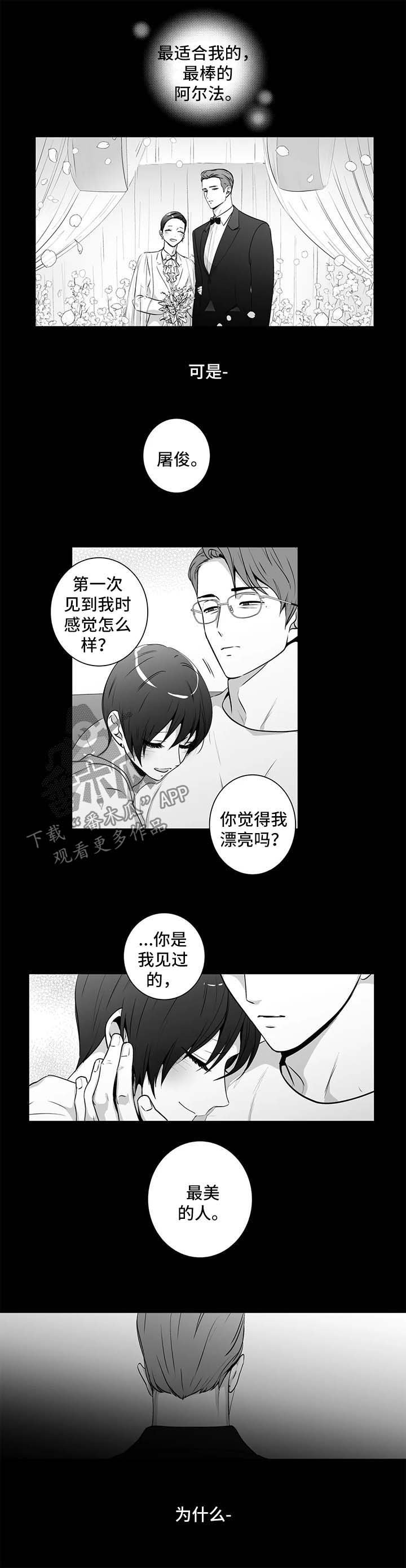 第140章：【第二季】短信