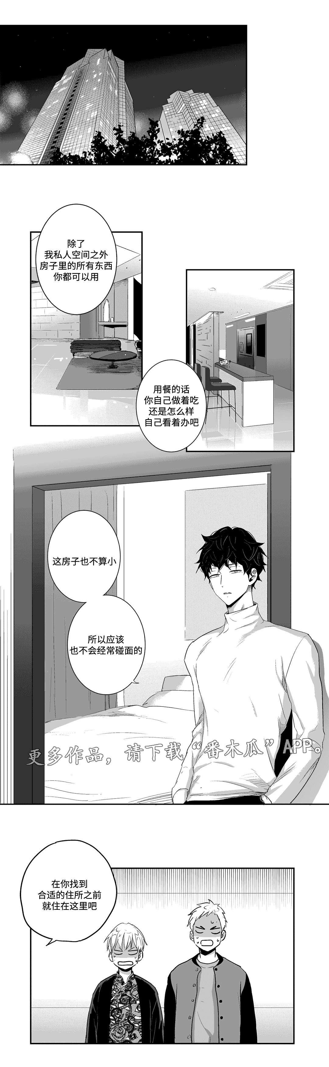 第15章：夜袭