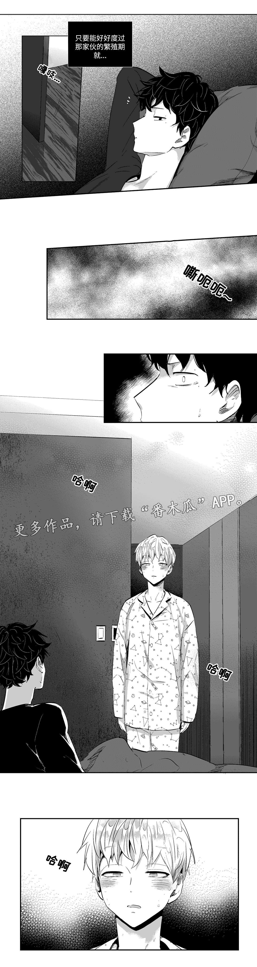 第15章：夜袭