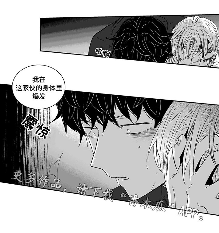 第16章：偶然