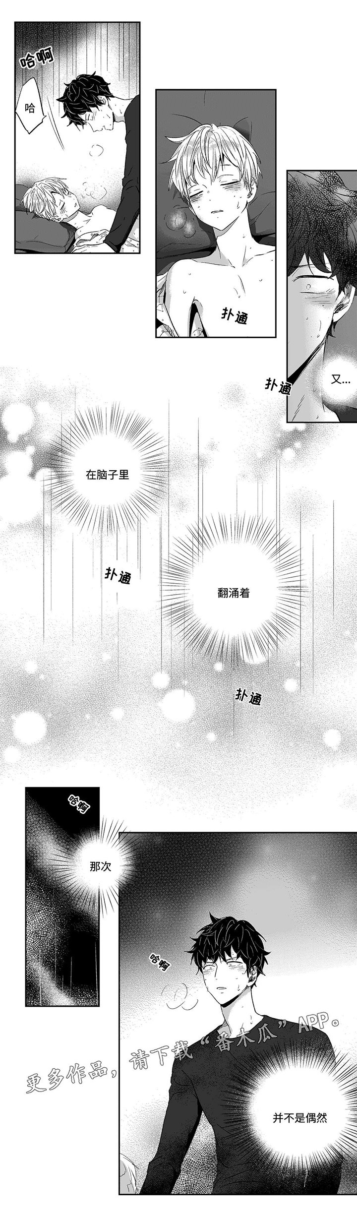第16章：偶然