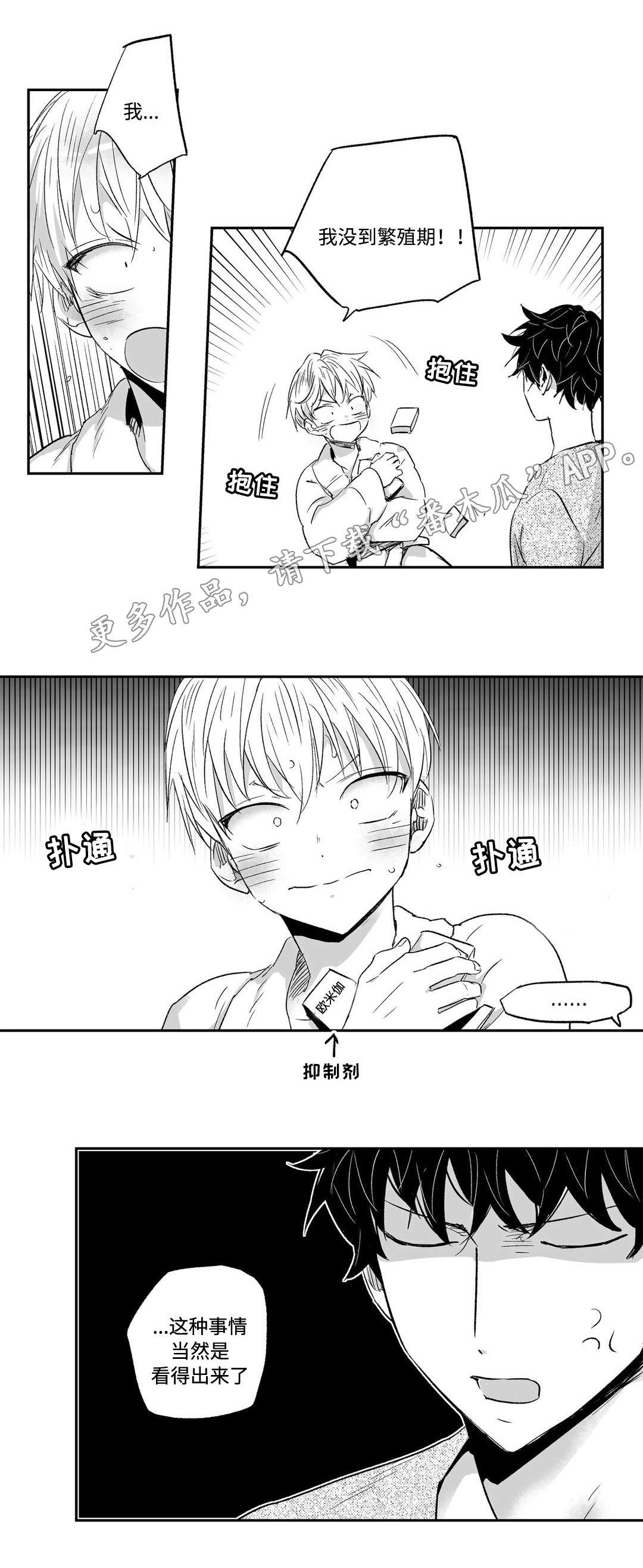 第19章：实话