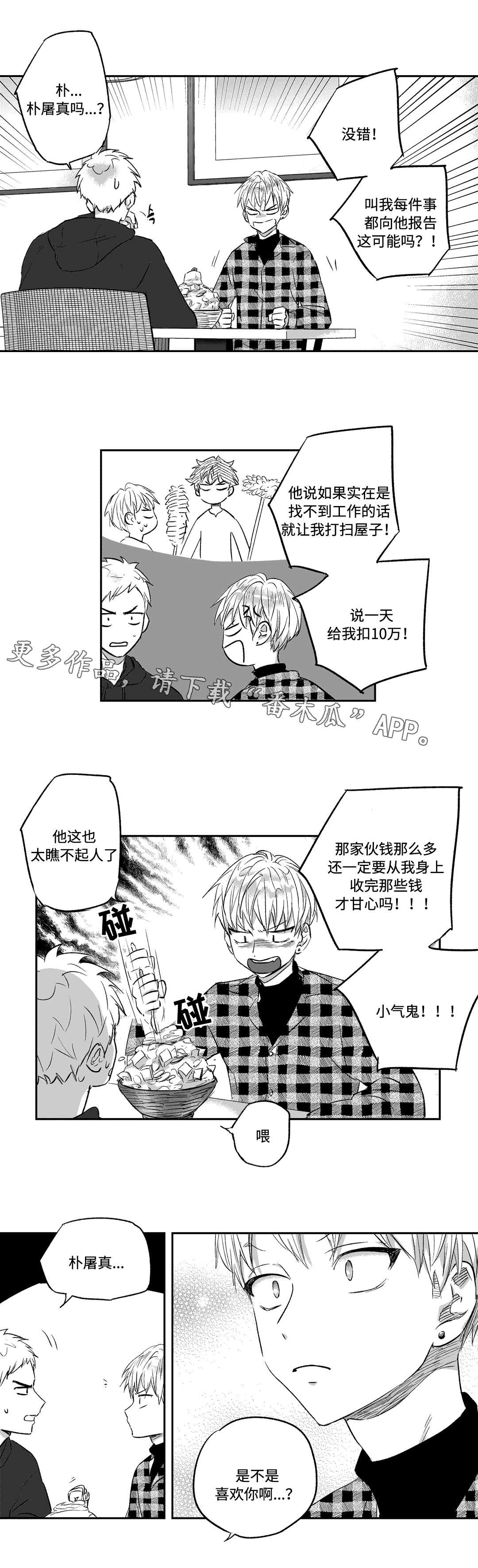 第19章：实话