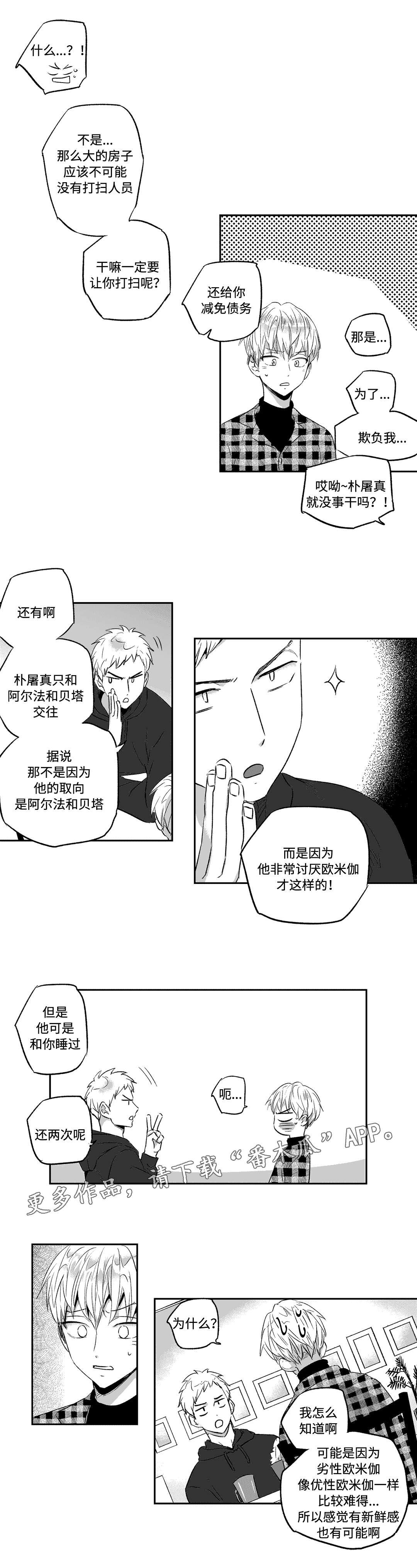 第19章：实话