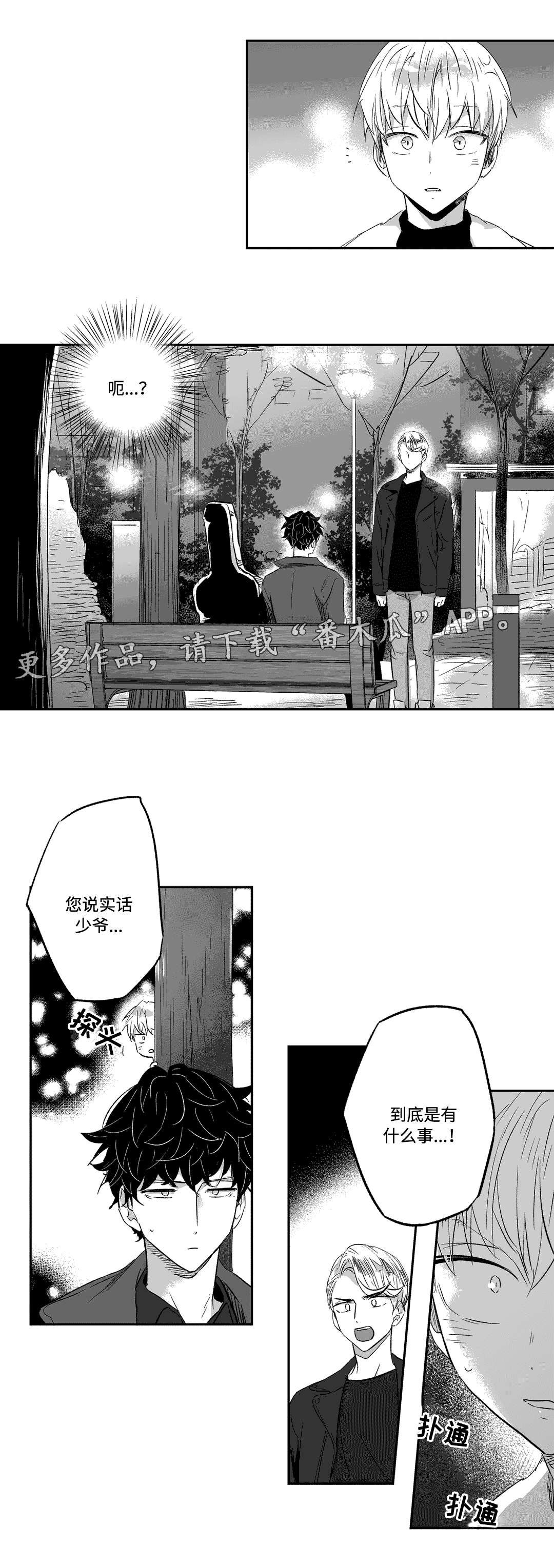 第19章：实话