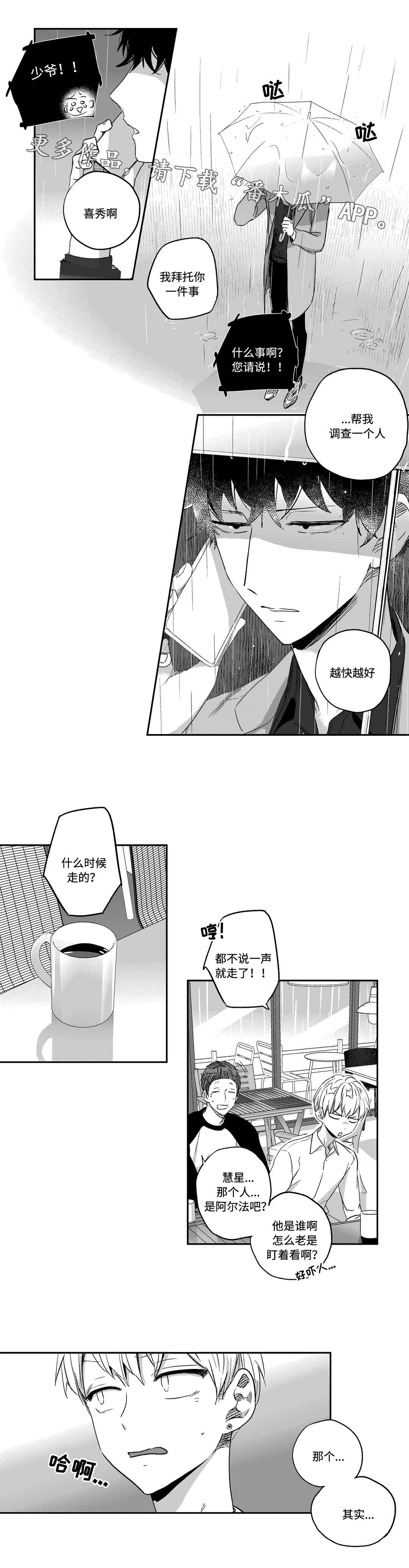 第27章：调查