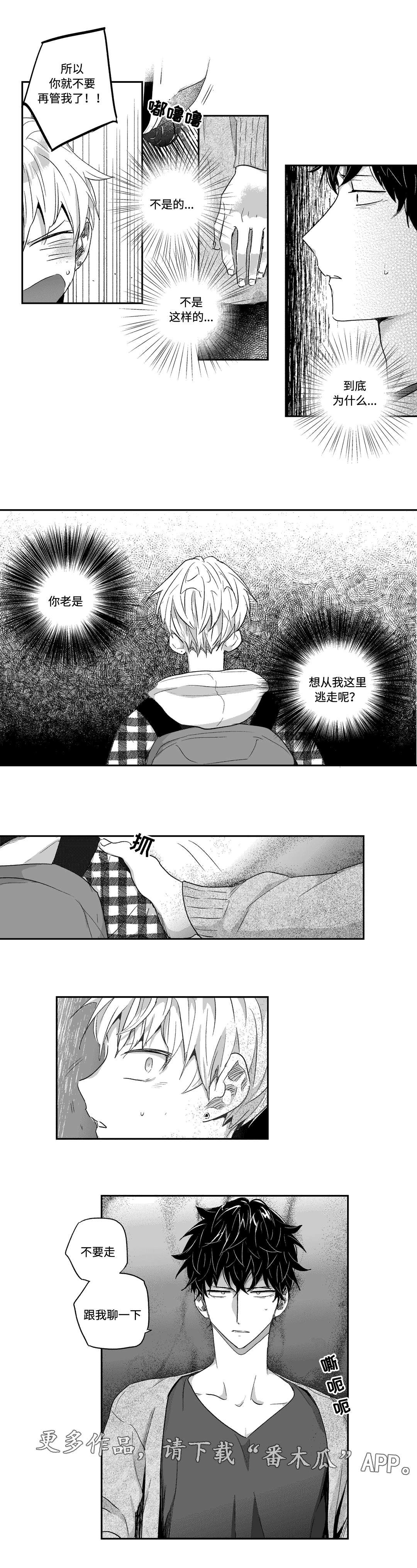 第28章：散发
