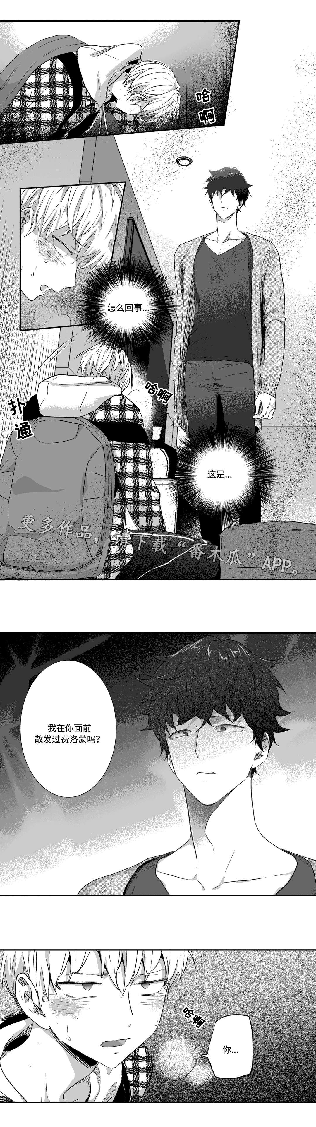 第28章：散发