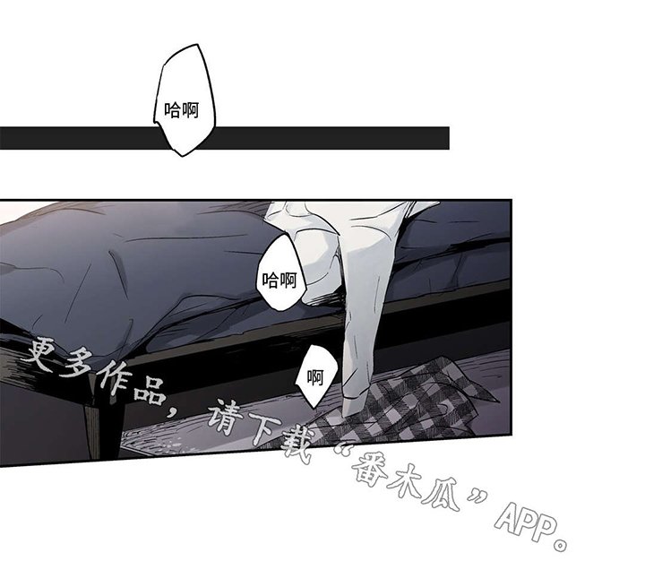 第29章：强迫