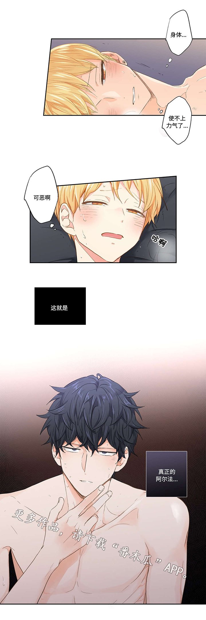 第29章：强迫