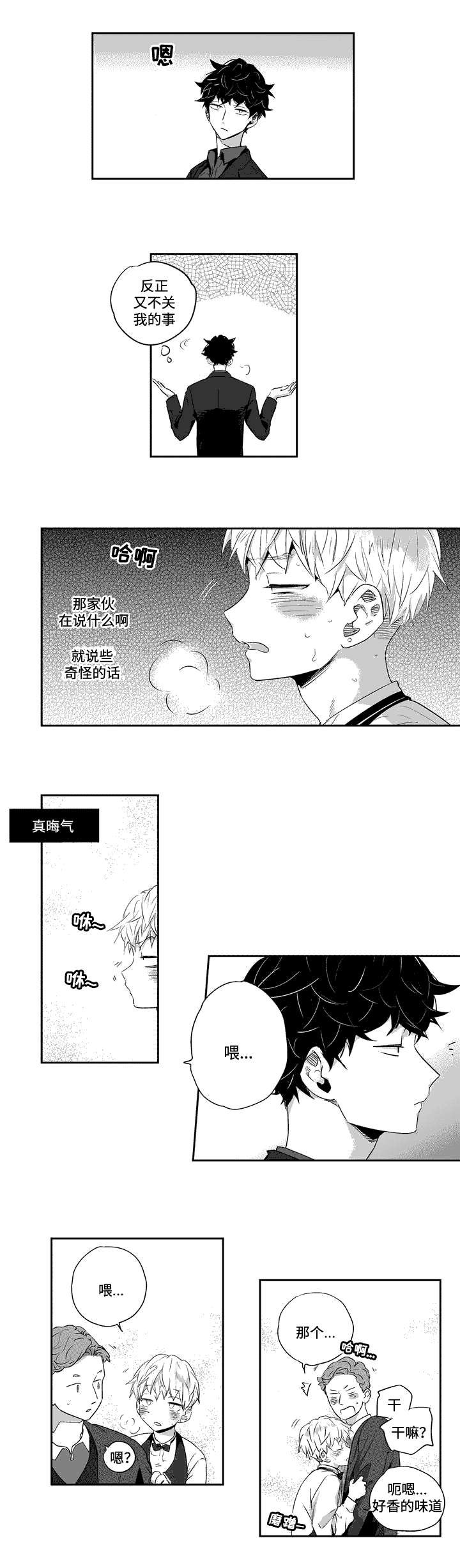 第3章：神志不清