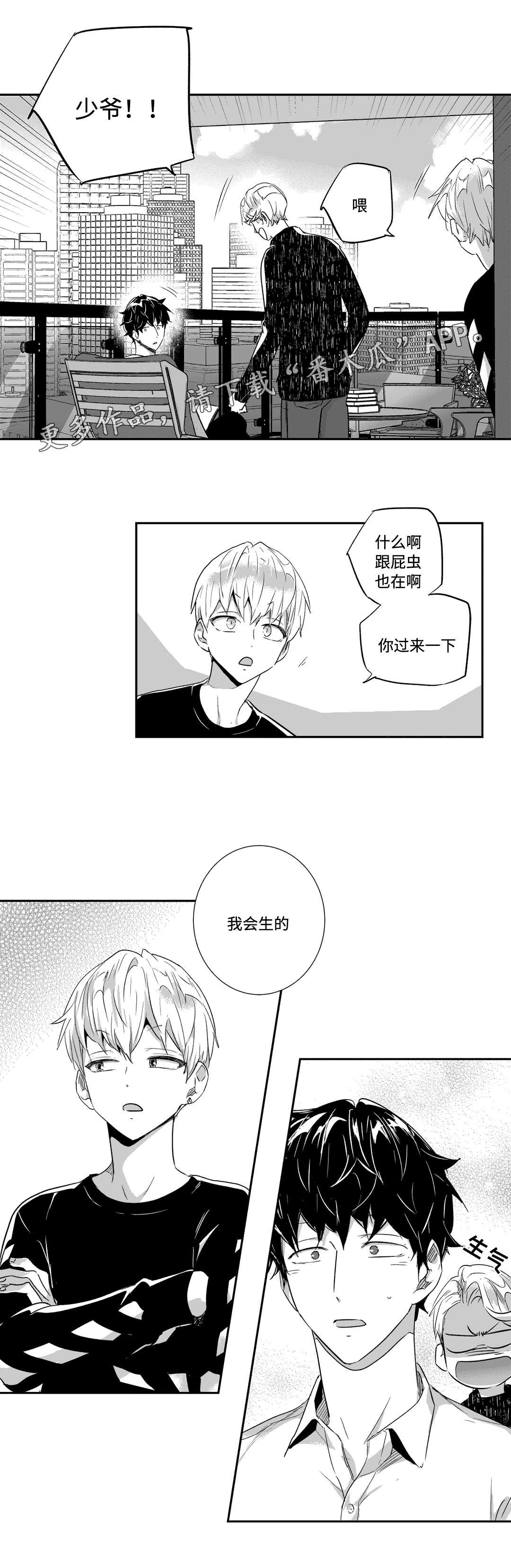 第33章：契约