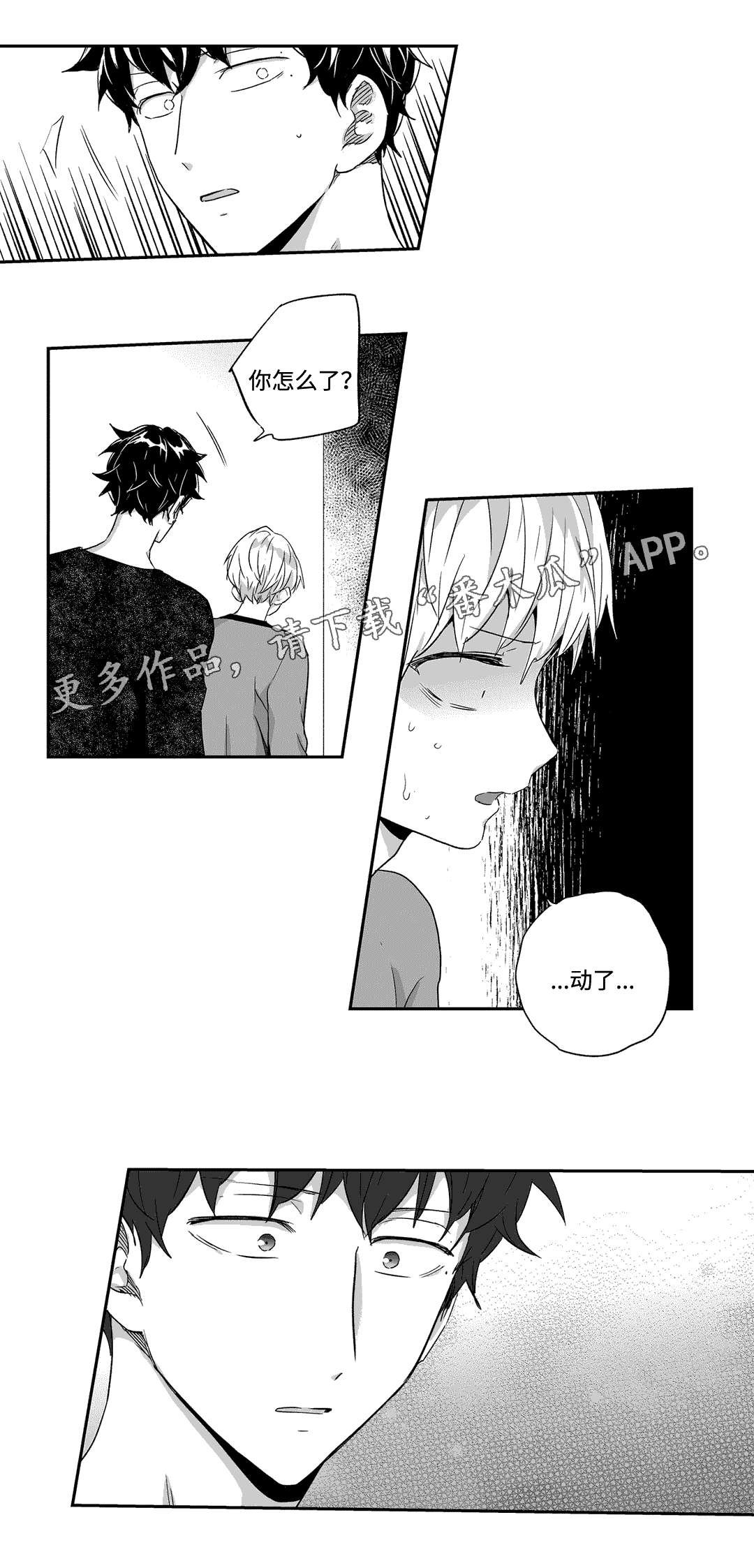 第44章：身份
