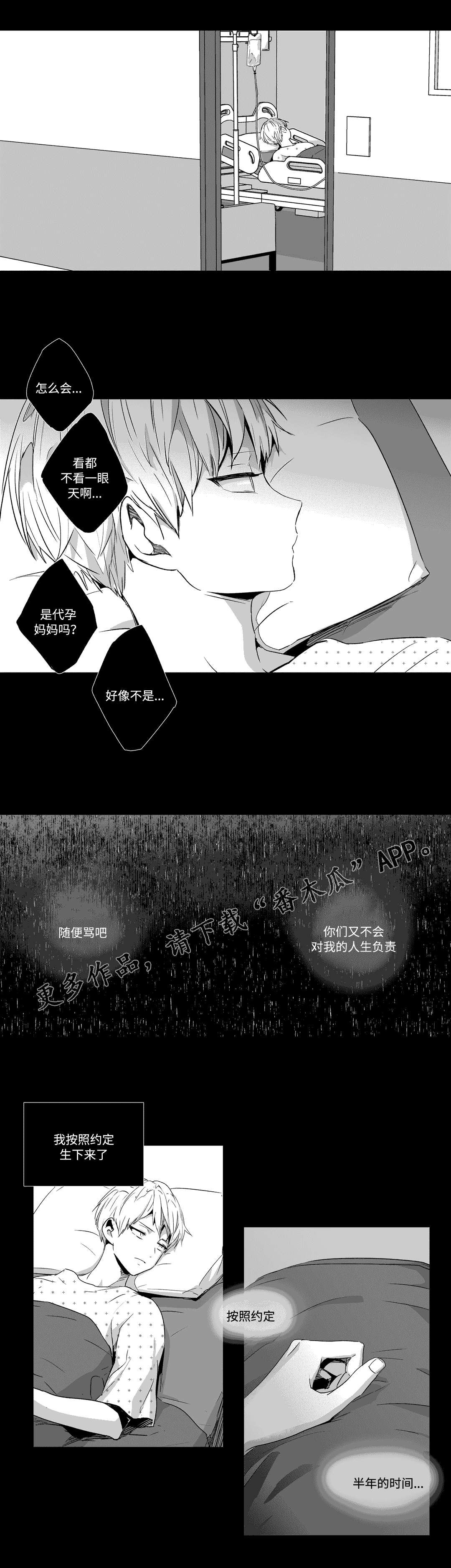 第55章：说谎