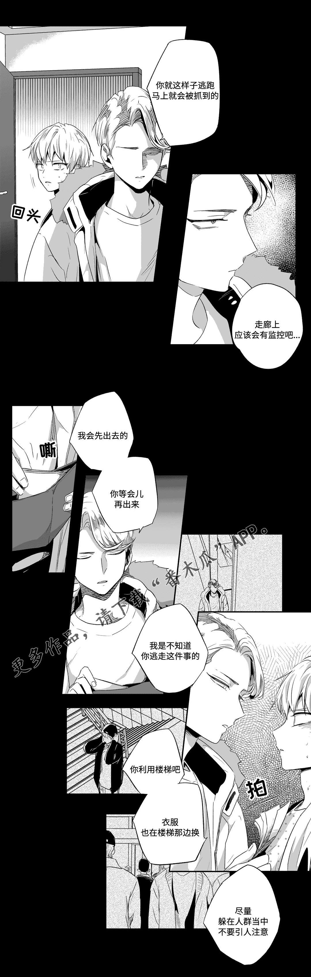 第56章：远离