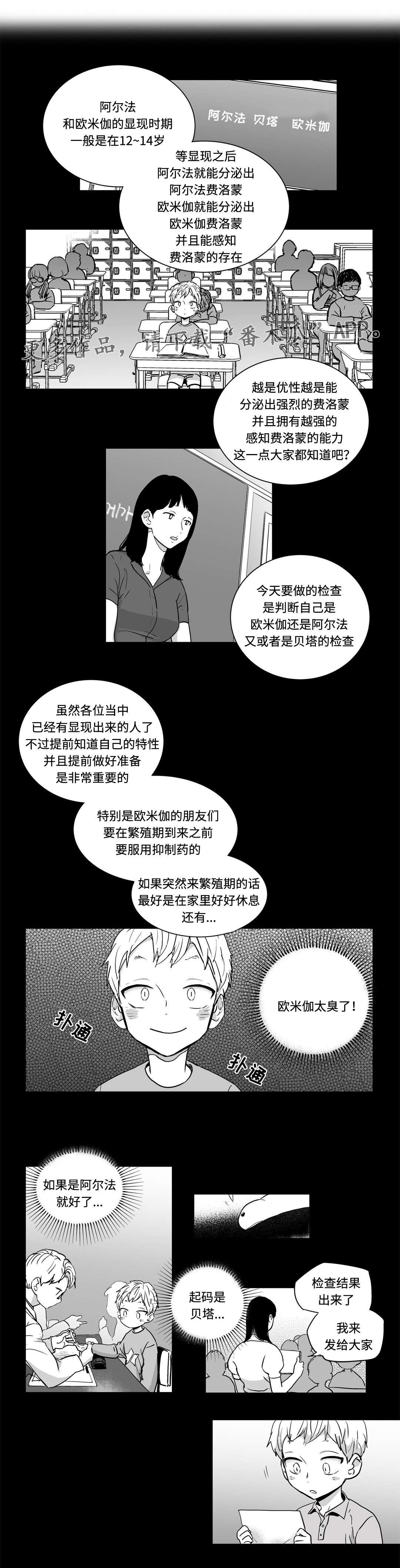 第6章：好地方