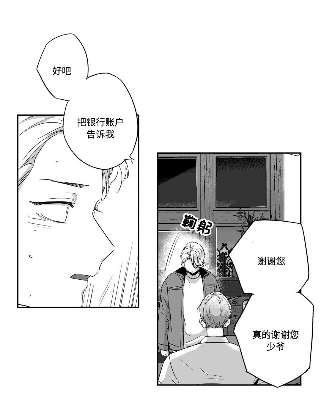 第61章：相遇
