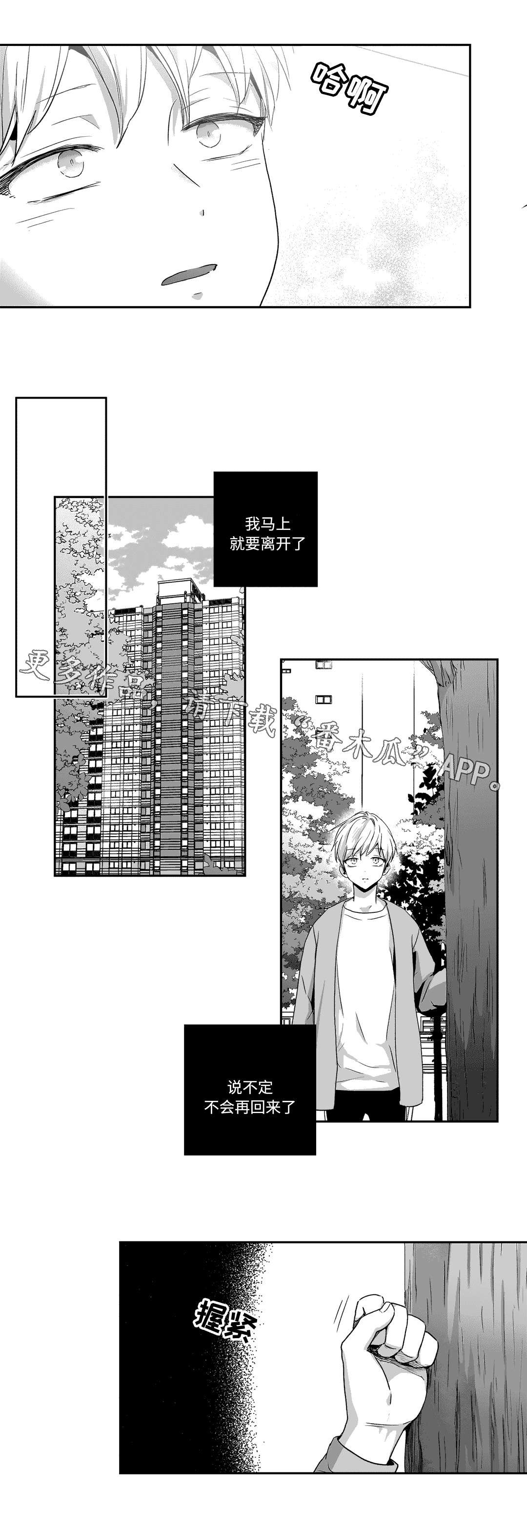 第61章：相遇