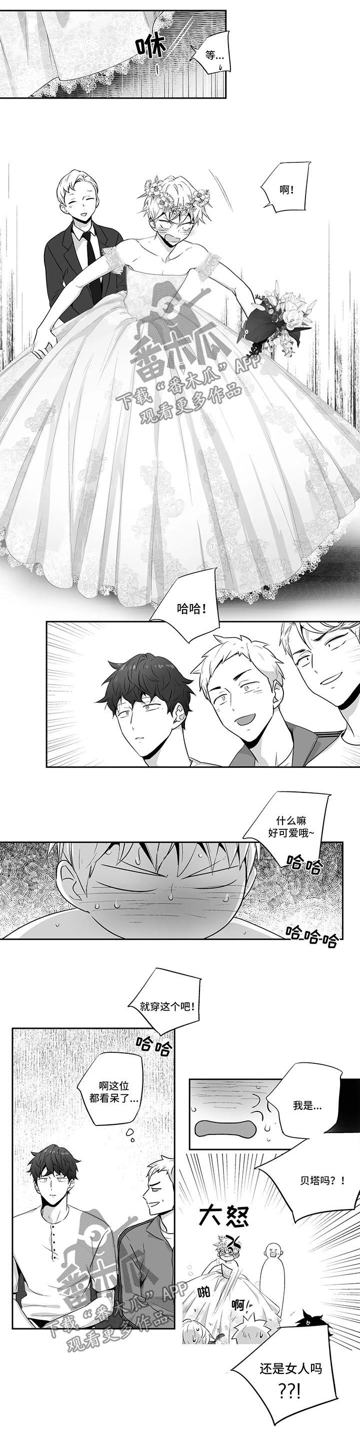 第96章：【第二季】婚礼