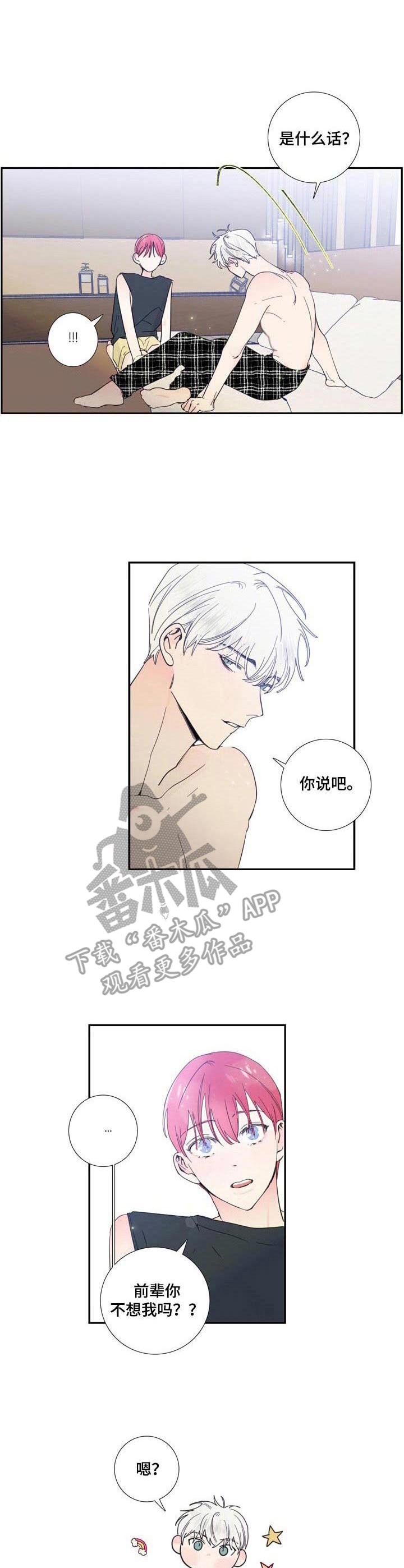 第19章：解释