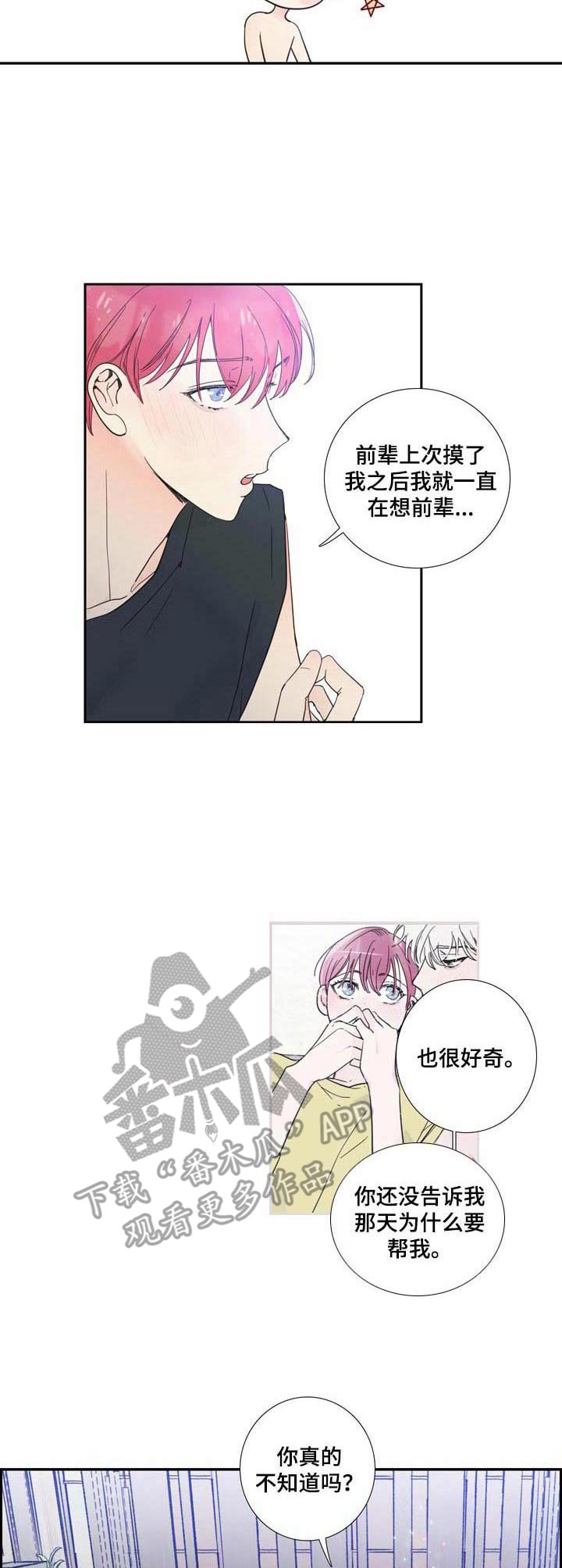 第19章：解释
