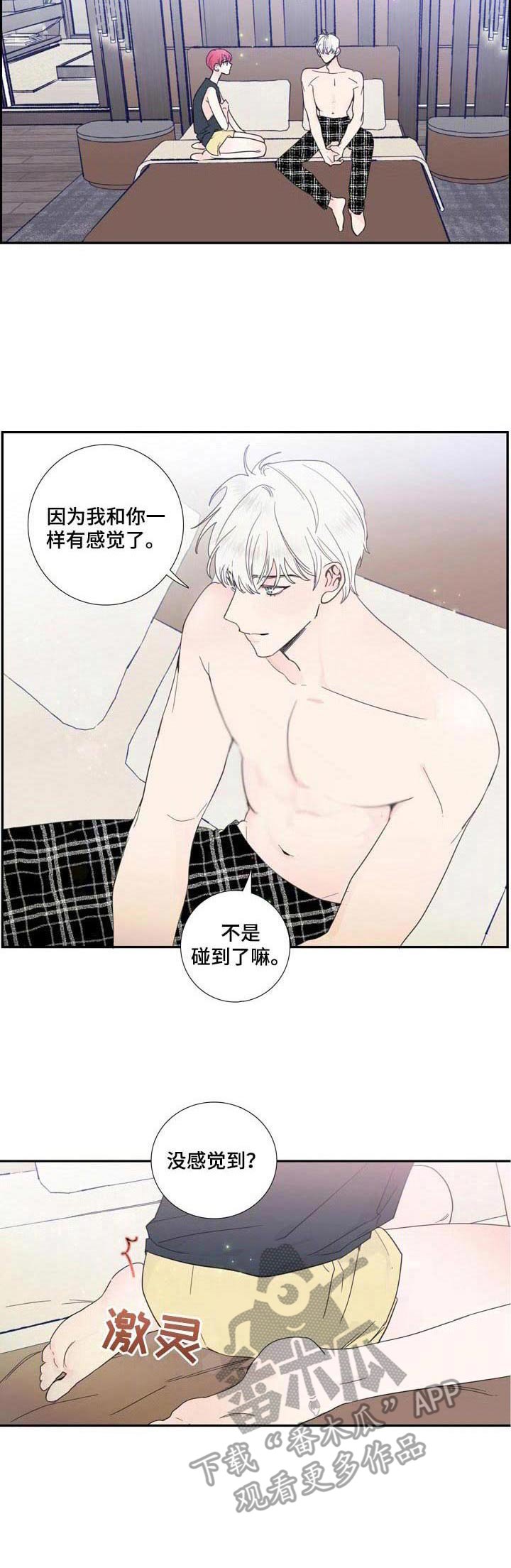第19章：解释