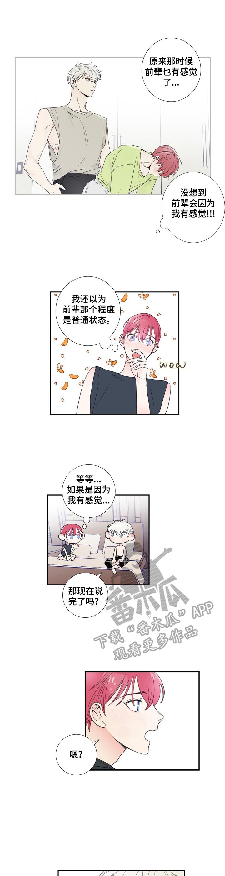 第19章：解释