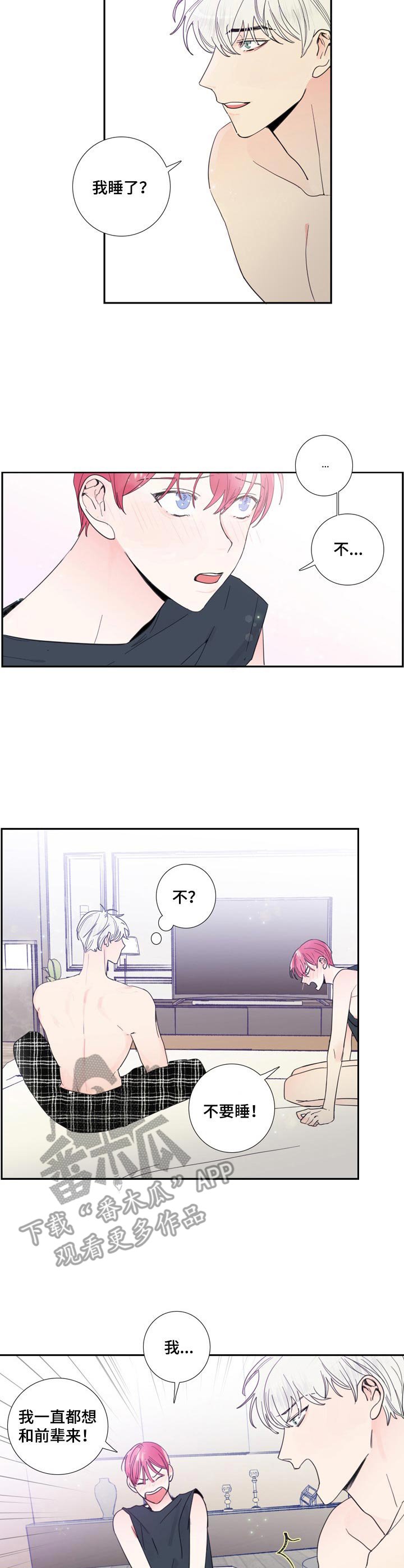 第19章：解释