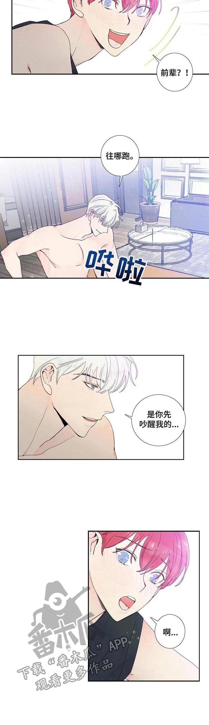 第19章：解释