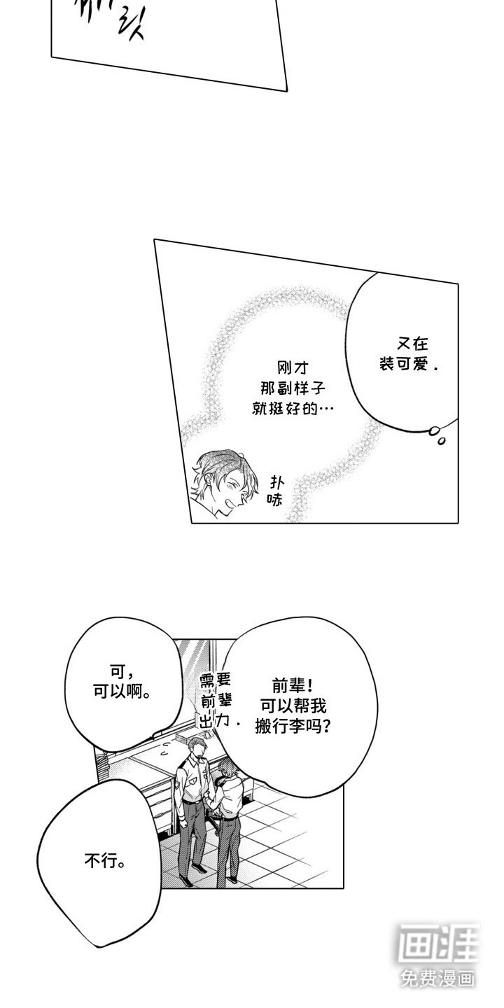 第11章：魅力所在