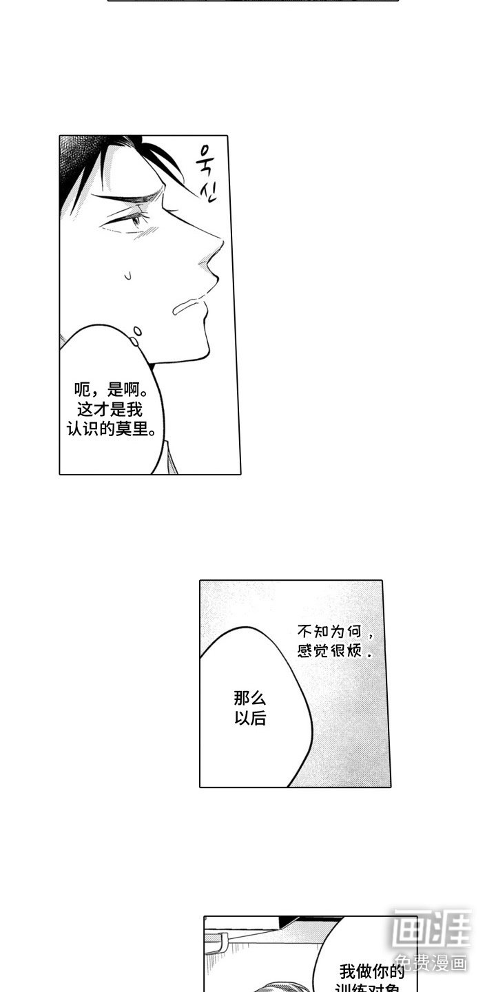 第11章：魅力所在